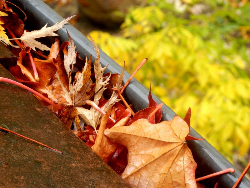 Fall Coating Advantages